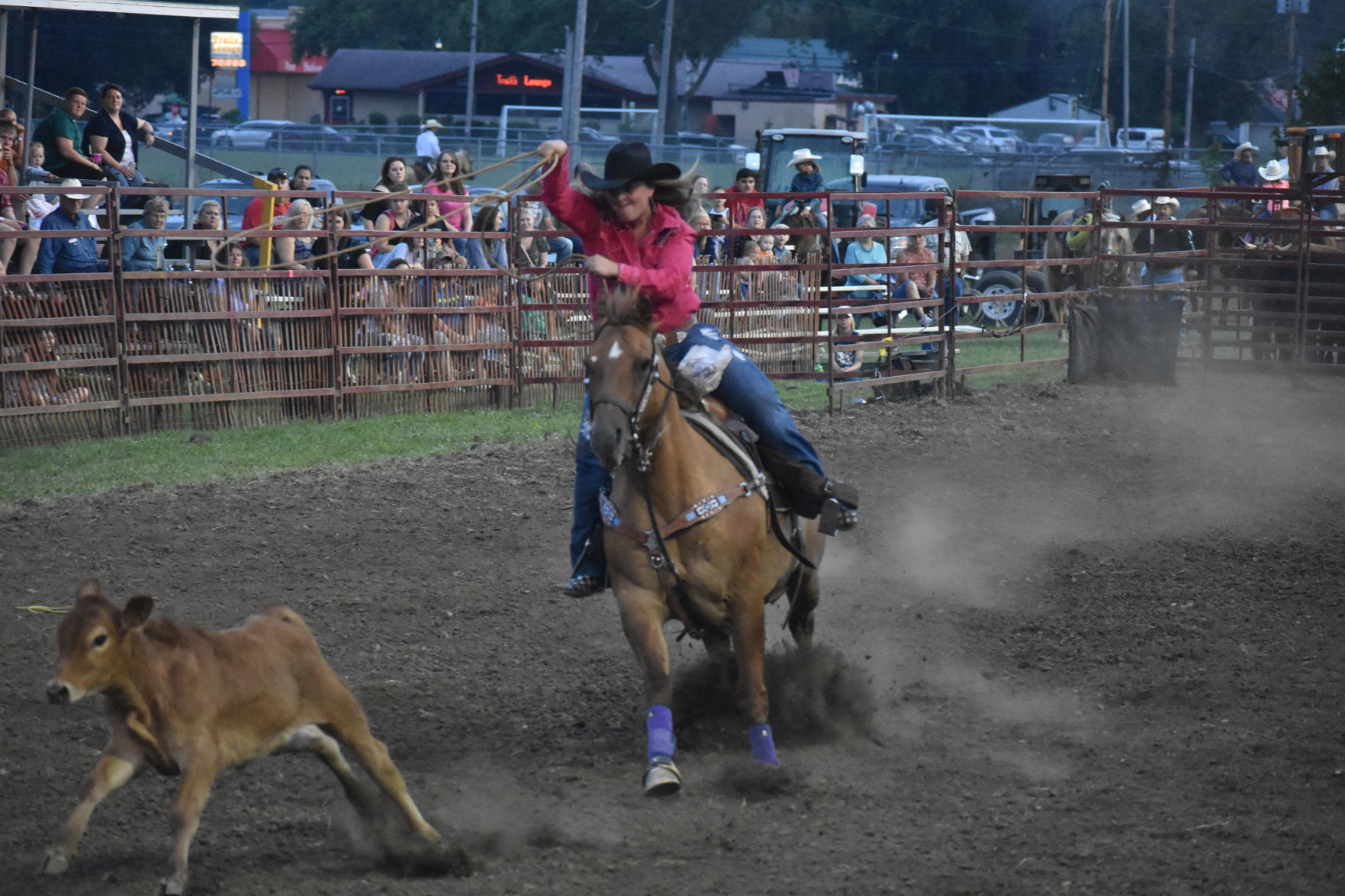 Celina Trotter lassoes a calf